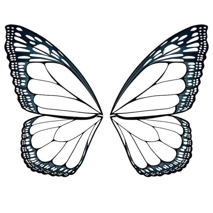 Vector alas de mariposa