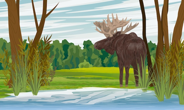 Un alce con grandes cuernos se encuentra en la orilla del estanque paisaje vectorial realista