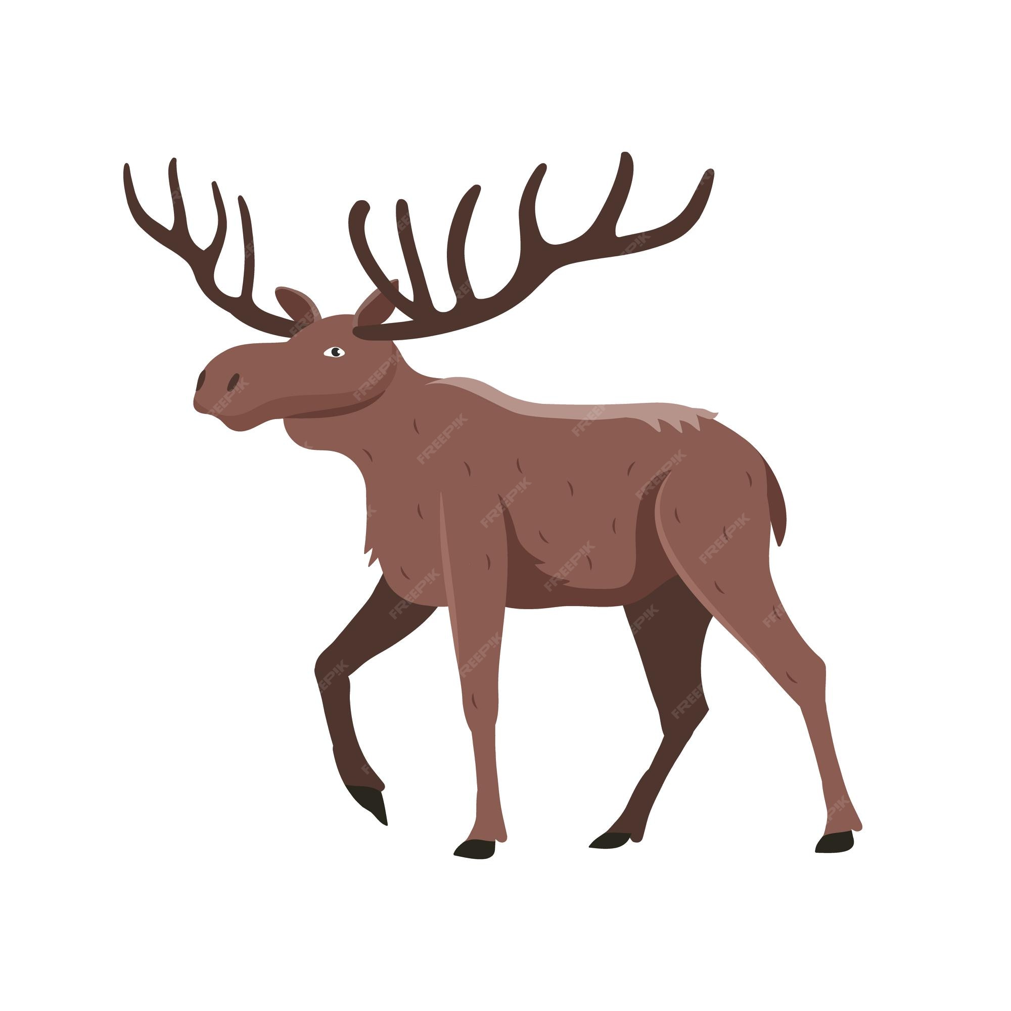Alce con grandes cuernos ramificados ilustración vectorial de animales en estilo plano de dibujos animados | Vector Premium Alce con grandes cuernos ramificados ilustración vectorial de animales en estilo plano de dibujos animados | Vector Premium