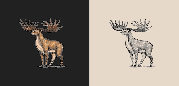 Alce irlandés o ciervo gigante o gran cuerno mamíferos prehistóricos animal extinto vector retro vintage