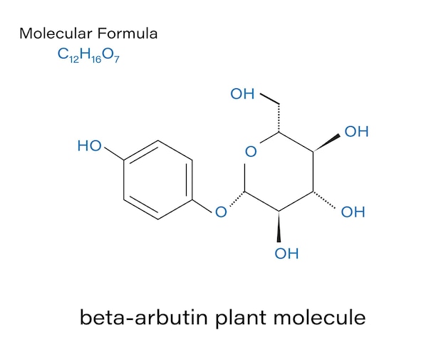 Alfaarbutina planta molécula fórmula esquelética Vector