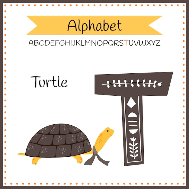 Alfabeto de animales t para tortuga ilustración vectorial de tortuga feliz cute dibujos animados aislado