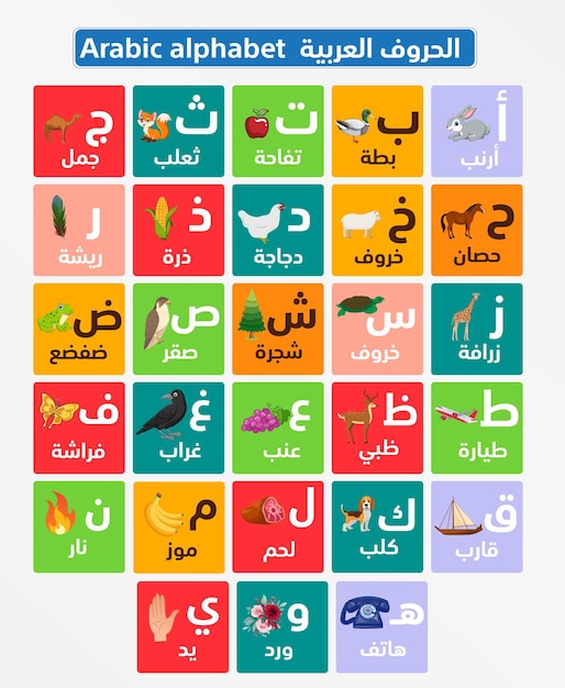 Alfabeto árabe Letras Fonts Editable Pack hijiyah aprendizaje educación caligrafía tipografía texto