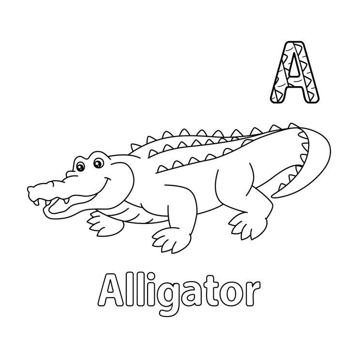 Vector alfabeto cocodrilo abc para colorear a