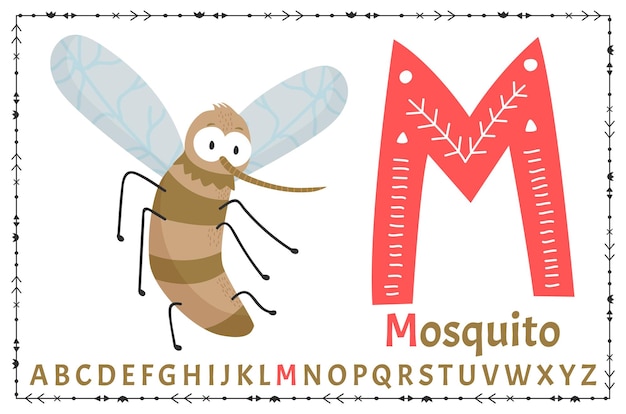 Alfabeto escandinavo vectorial Alfabeto infantil de dibujos animados Diseño dibujado a mano para aprender letras Excelente para el diseño de postales, carteles, pegatinas, etc. M mosquito