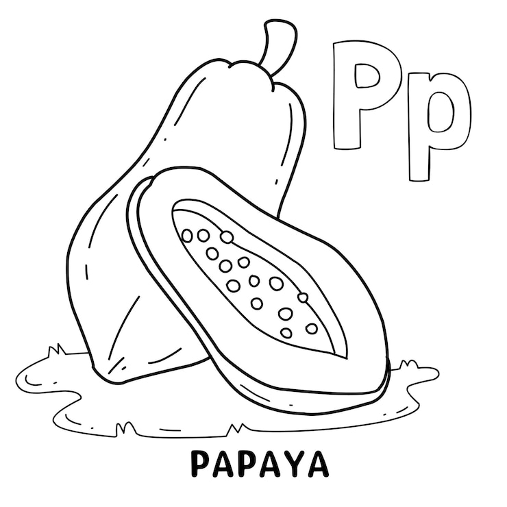 Vector alfabeto fruta papaya para colorear con palabra dibujada a mano carta fruta dibujos animados