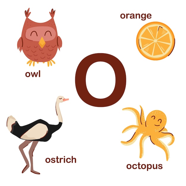 Alfabeto inglés preescolar O letra búho avestruz pulpo naranja diseño del alfabeto