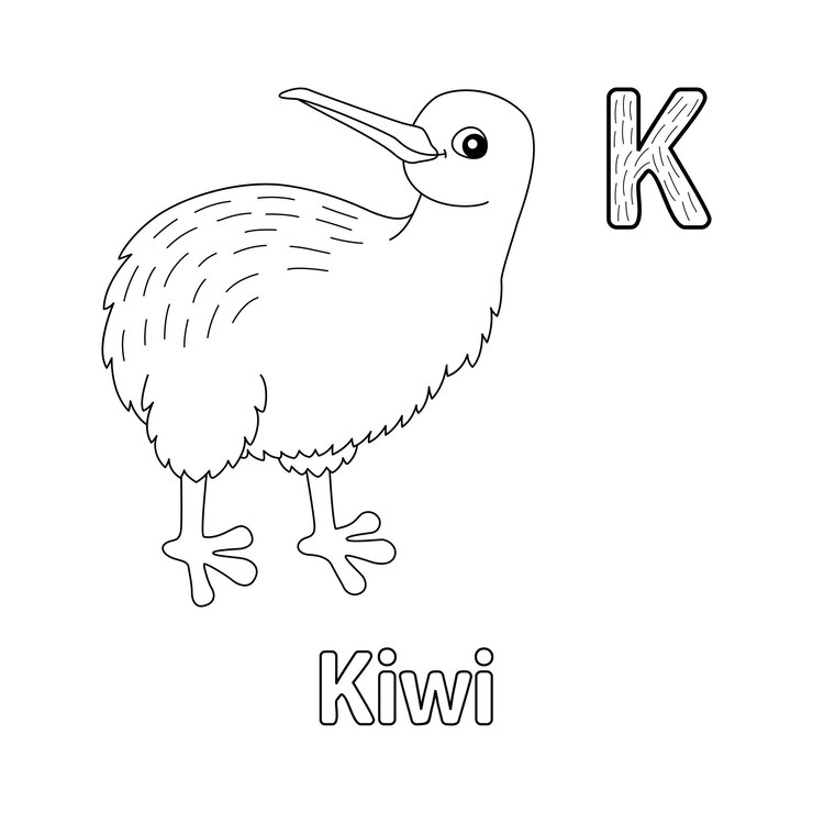 Vector alfabeto kiwi abc para colorear k