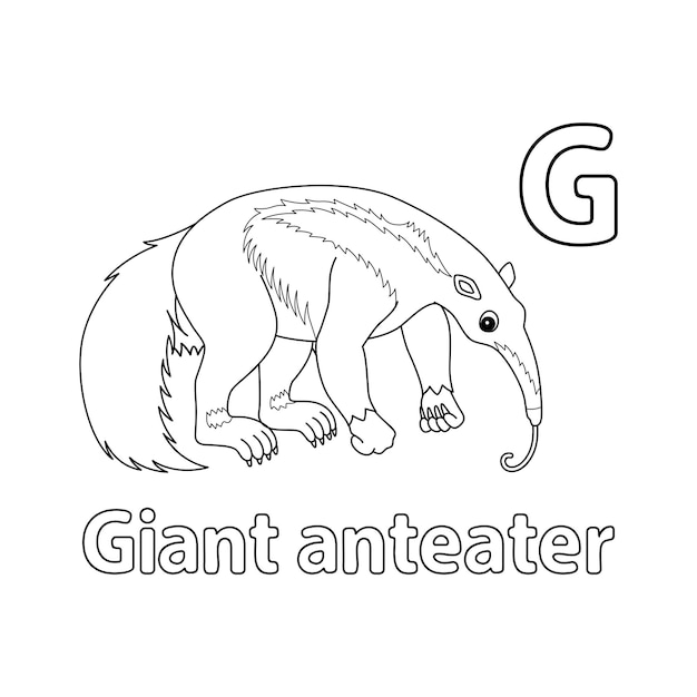 Alfabeto de oso hormiguero gigante ABC aislado para colorear G