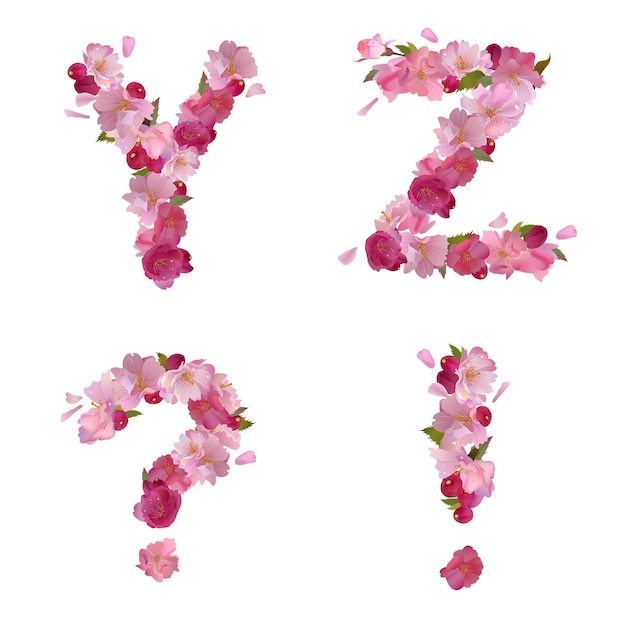 Alfabeto de primavera vectorial con letras de flores de sakura rosa suave yz y signos de puntuación