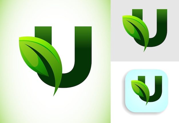 Vector alfabeto u inicial con una hoja concepto de logotipo ecológico símbolo del alfabeto gráfico para la identidad comercial y de la empresa