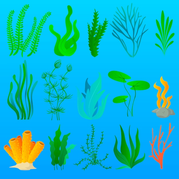 Vector algas de acuario y plantas marinas