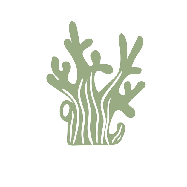 Algas marinas de coral svg Vector de coral