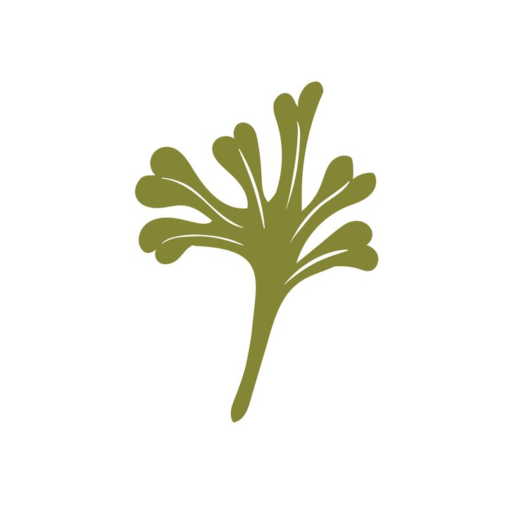 Vector algas marinas de coral svg vector de coral