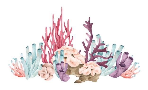 Algas marinas plantas oceánicas submarinas elementos de coral marino ilustración acuarela