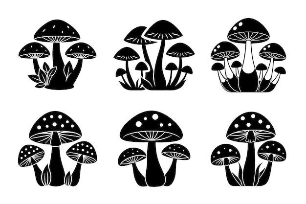 algunas siluetas negras de hongos boletus Ilustración vectorial