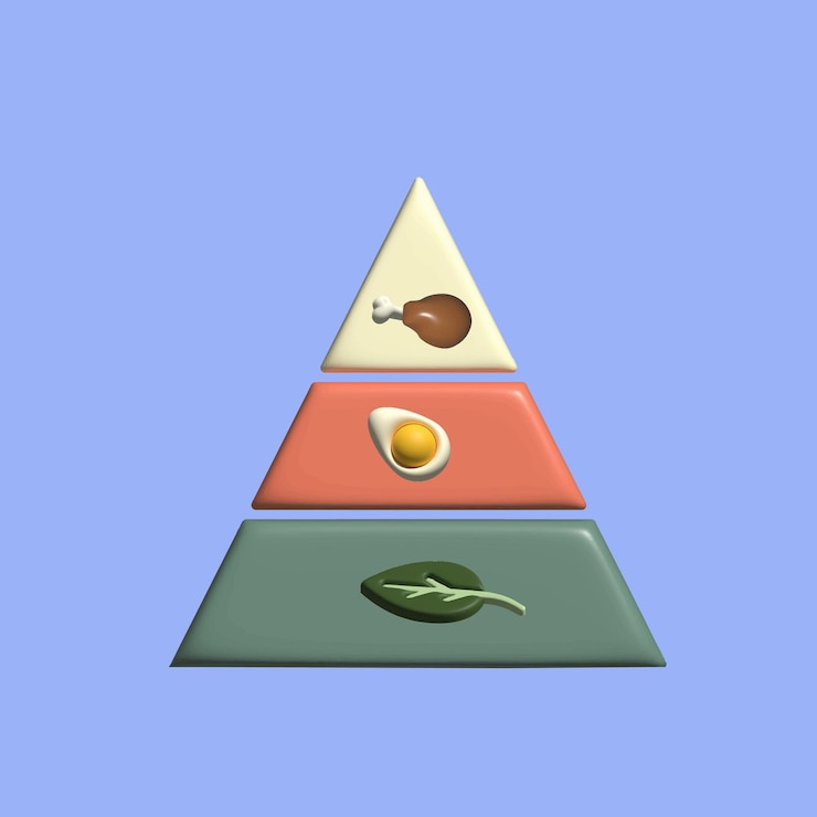Vector alimentación alimentación y concepto de salud objeto 3d realista estilo de dibujos animados vector colorido