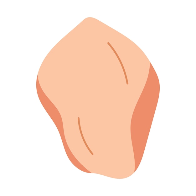 Alimento de carne de aves de corral cruda de muslo de pollo Ilustración vectorial
