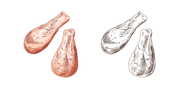 Vector alimentos orgánicos bocetos vectoriales monocromáticos y coloreados dibujados a mano de patas de pollo