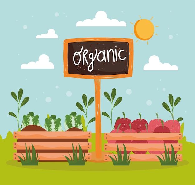 Alimentos orgánicos y de cosecha
