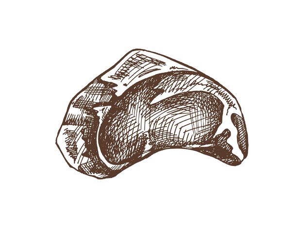 Alimentos orgánicos Esbozo vectorial dibujado a mano de un filete de carne un pedazo de carne Ilustración vintage de Doodle