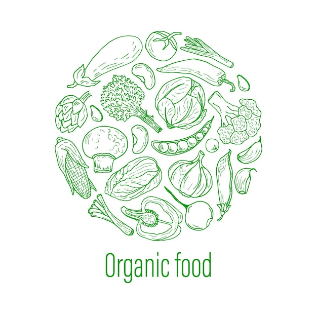 Alimentos orgánicos en el estilo doodle una composición redonda de un conjunto de verduras collage de granja fresca
