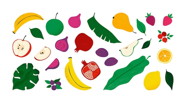 Alimentos orgánicos resumen conjunto de frutas de otoño Naturaleza palma y monstera hojas de higo y granada cosecha de fresas y arándanos hojas de plantas textura árbol fondo floral patrón vectorial