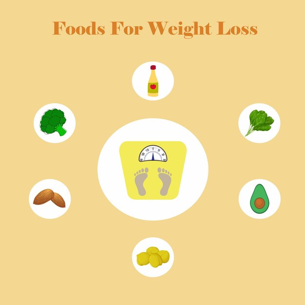 Vector alimentos para la pérdida de peso y un conjunto de íconos cartel minimalista