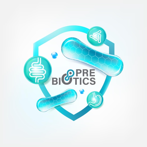 Alimentos prebióticos Buenas bacterias Ilustración vectorial