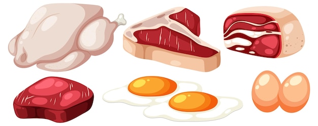 Alimentos proteicos variados para una dieta saludable