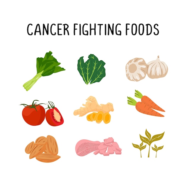 Alimentos que combaten el cáncer ilustración vectorial diagrama de comidas de frutas y verduras saludables como brócoli stawnerries zanahorias y salmón Estilo de dibujos animados planos