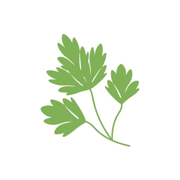 Alimentos para las ramas de perejil