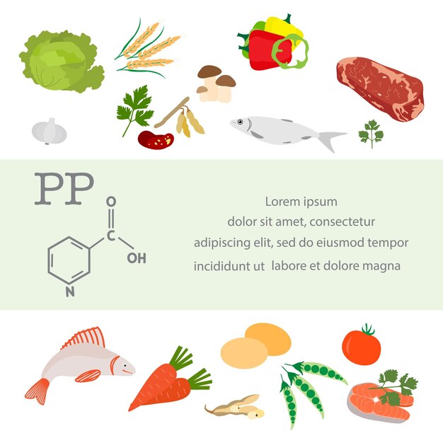 Alimentos saludables Nutrición adecuada Vitamina PP Orgánico