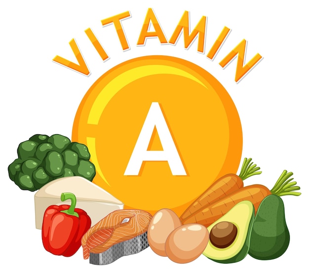 Vector alimentos saludables que contienen vitamina a para una dieta equilibrada
