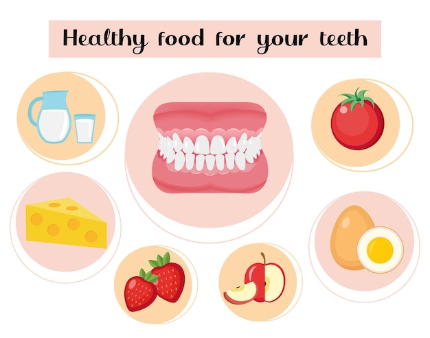 Vector alimentos saludables para tus dientes.