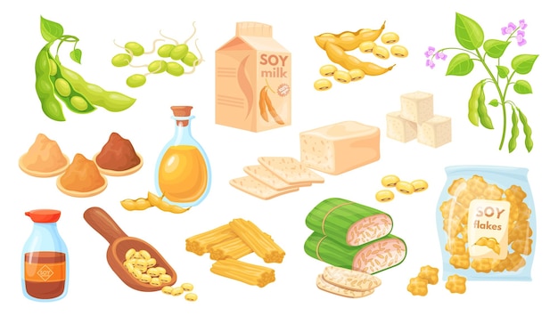 Alimentos de soya de dibujos animados ingredientes para cocinar soya tofu piel tempeh frijoles de soya edamame brote de planta miso pasta salsa proteína de leche nutrición producto orgánico ilustración vectorial ordenada