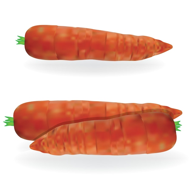 Alimentos vectoriales de zanahorias