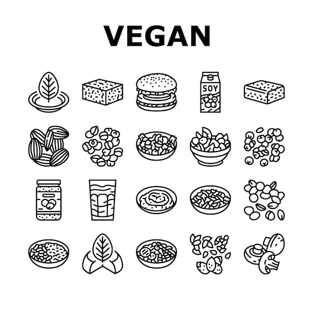 alimentos vegetarianos frescos iconos orgánicos conjunto vector