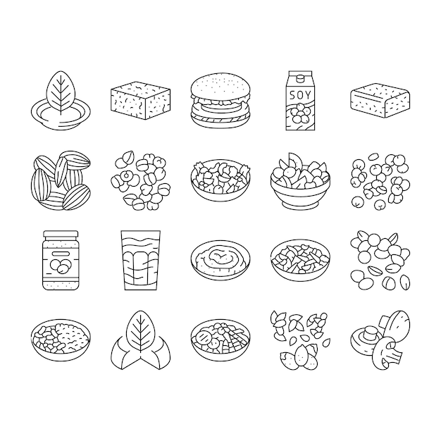 alimentos vegetarianos frescos iconos orgánicos conjunto vector