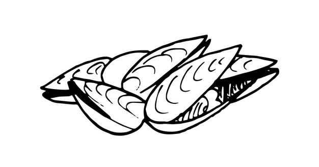 Almejas aisladas Esbozo de estilo dibujado a mano ilustración vectorial en blanco y negro