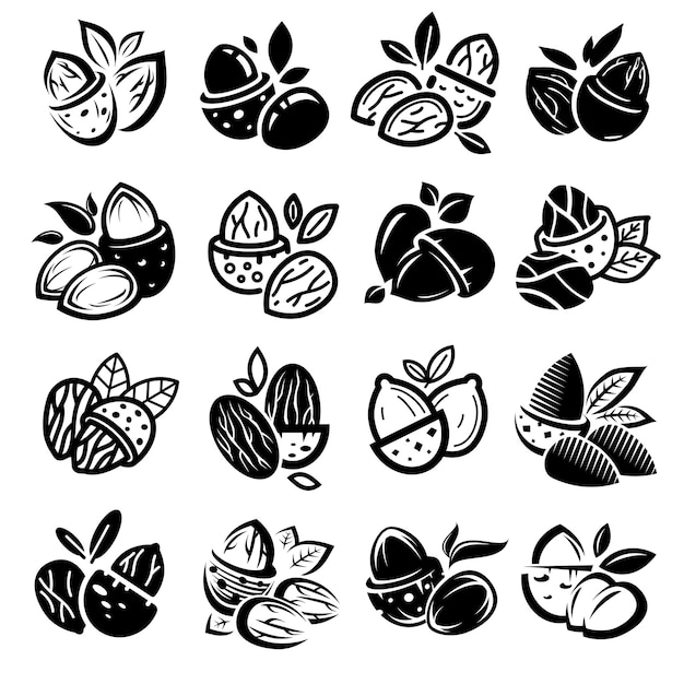 almendra, conjunto, colección, icono, almendra, vector