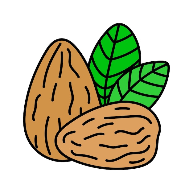 Almendras en estilo doodle Vector aislado en fondo amarillo