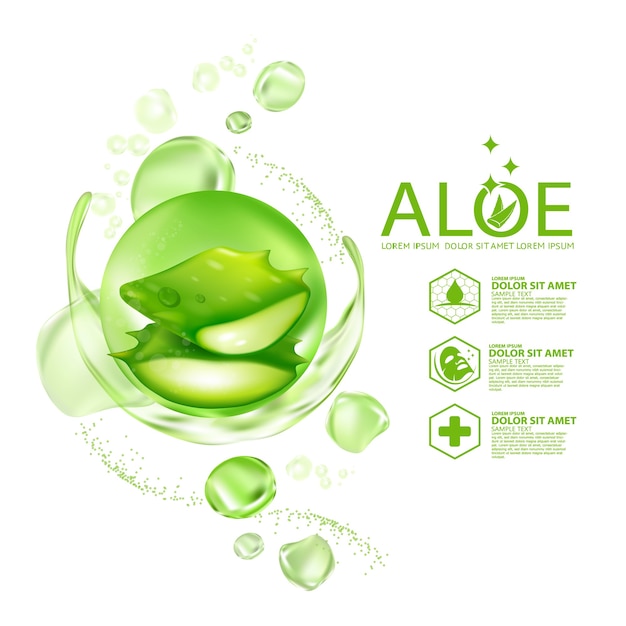 Aloe vera es una planta realista para el cuidado de la piel.