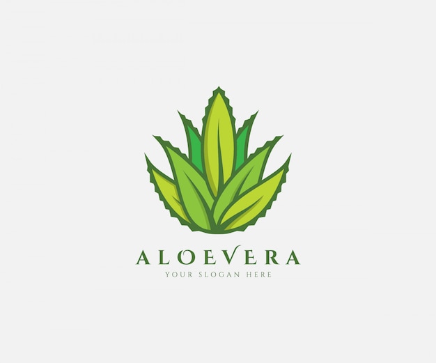 Vector aloe vera fresh logo hoja verde