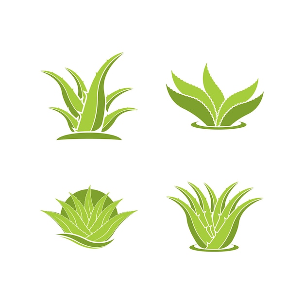Aloe Vera logo icono diseño símbolo belleza