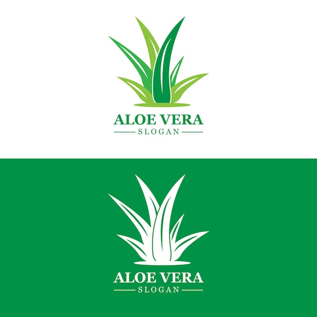 Aloe Vera Logo Salud Hoja Vector Diseño Adecuado Para Salón De Belleza Reciclaje Orgánico Salud De La Piel