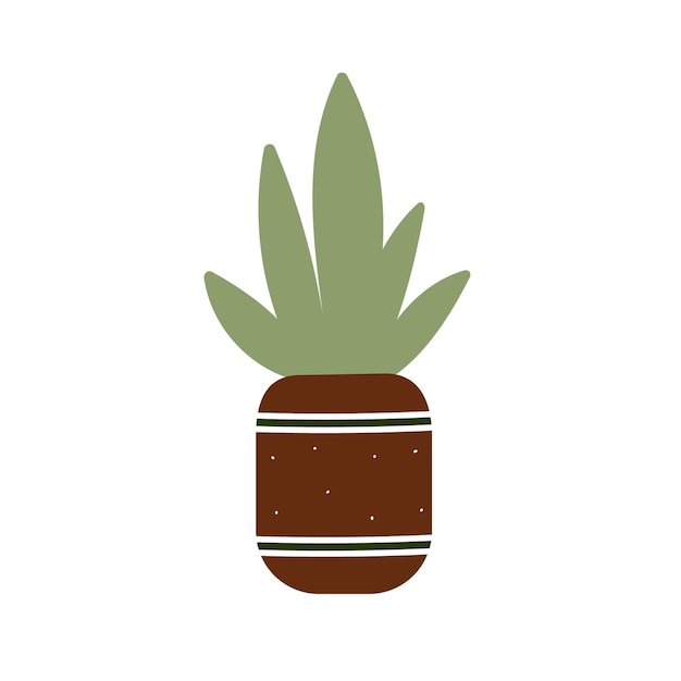 Aloe vera en una maceta Garabato suculento