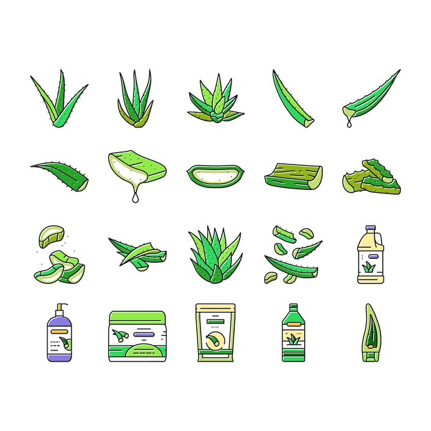 Aloe vera naturaleza cuidado verde iconos conjunto vector