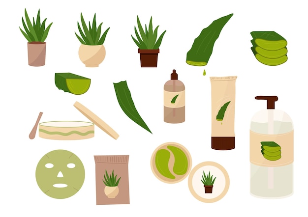 Aloe vera planta estilo plano conjunto aislado cosméticos ingredientes naturales hojas de aloe