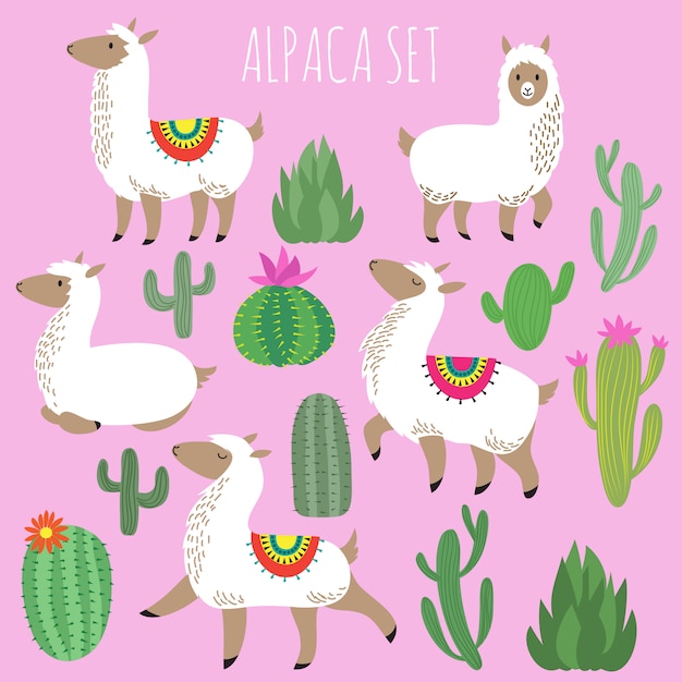 Alpaca blanca mexicana y conjunto de vectores de plantas del desierto